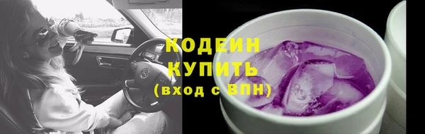 эйфоретик Каменка