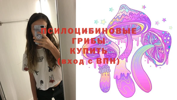 эйфоретик Каменка