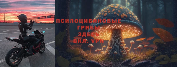 синтетический гашиш Каменногорск